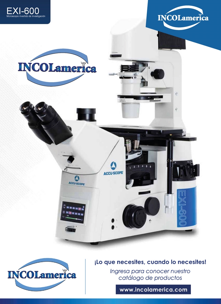 Microscopio ACCU-SCOPE Serie EXI-600